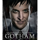 Illustration for article titled New emGotham/em Posters Are Great Except For Poison Ivys Terrible New Name